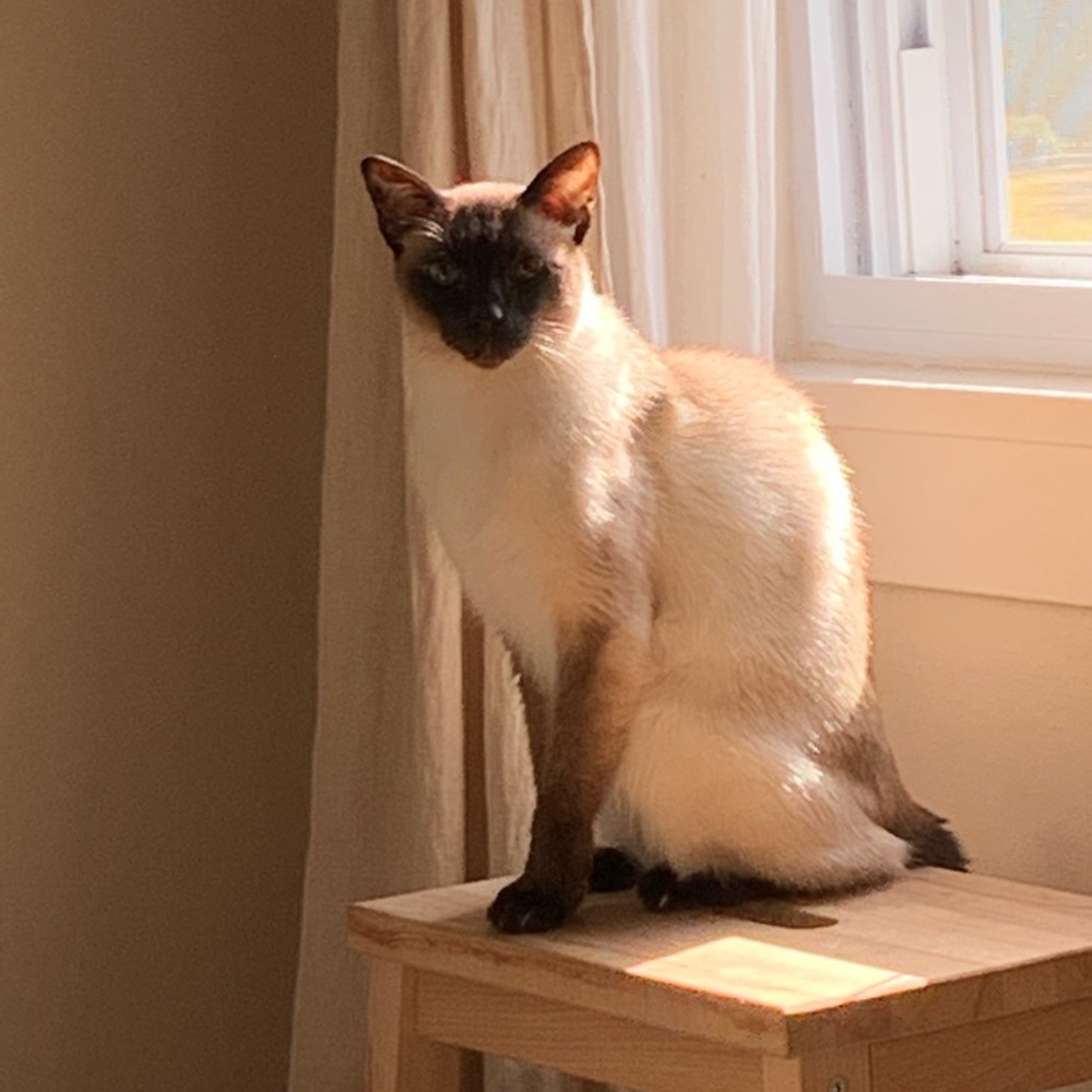 Meet your Posher, Melanie